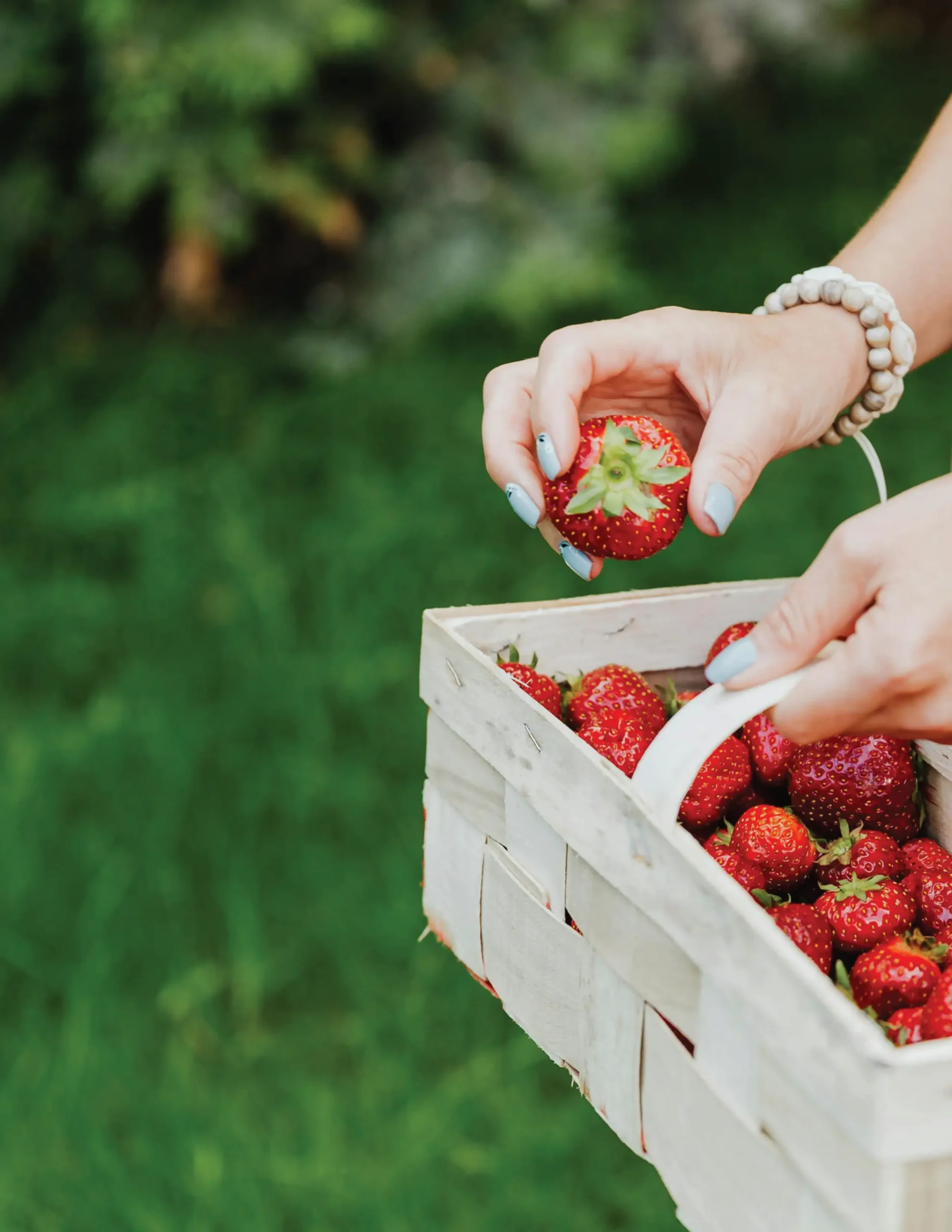 All Things Berries